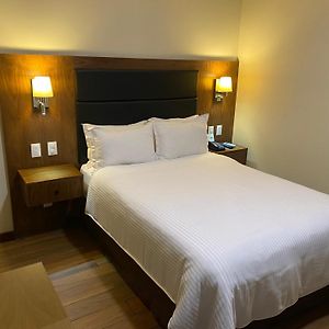 Standard King Suite